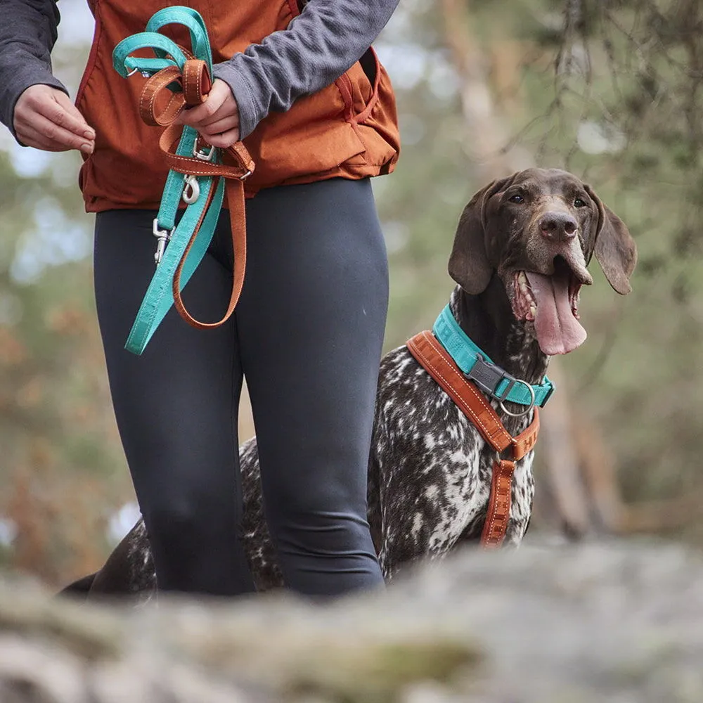 Casual Reflective Leash ECO