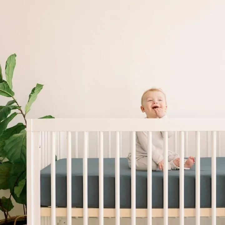 Crib Sheet - Midnight