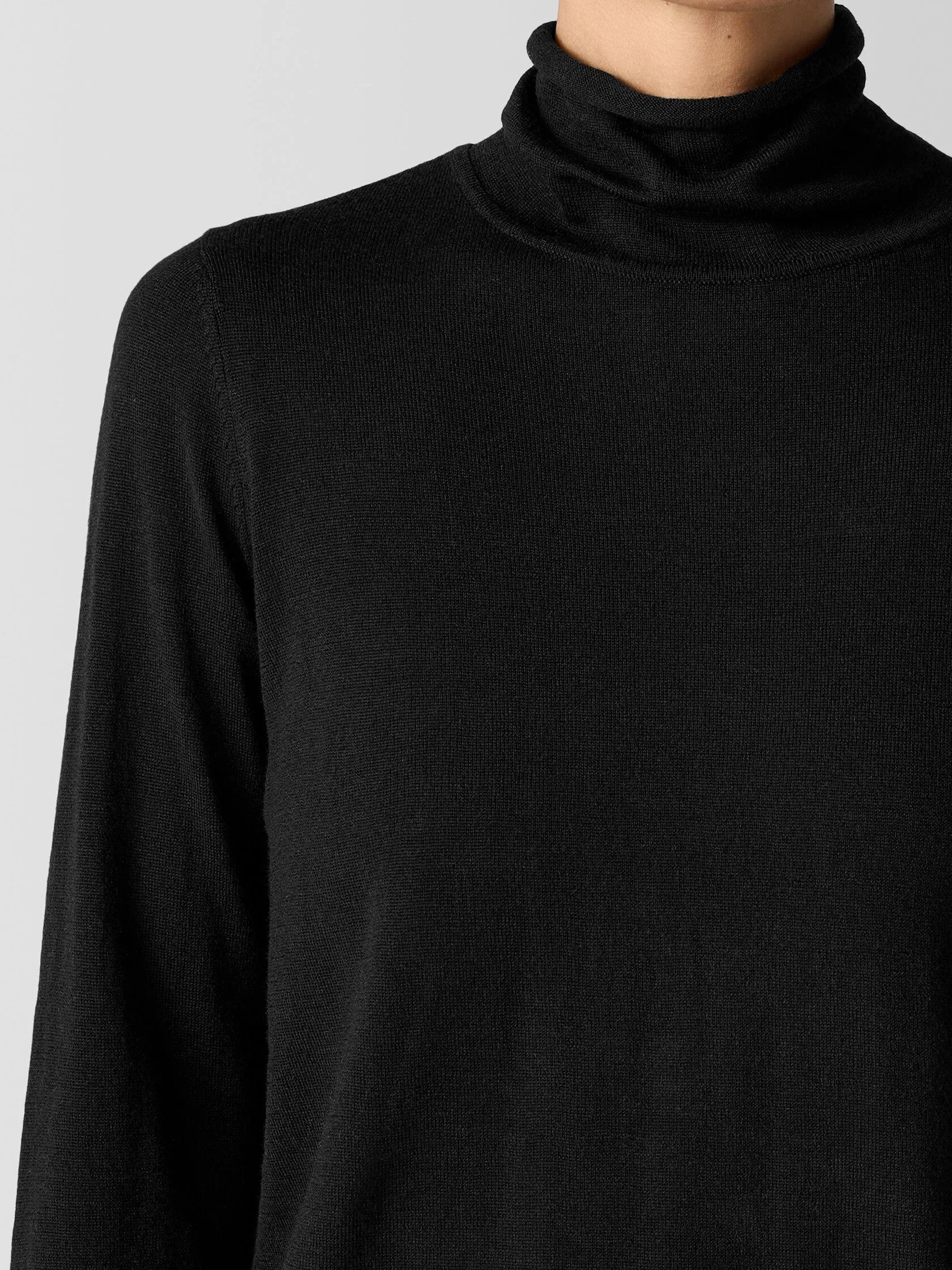 Eileen Fisher Fine Merino Long Sleeve Turtleneck in Black