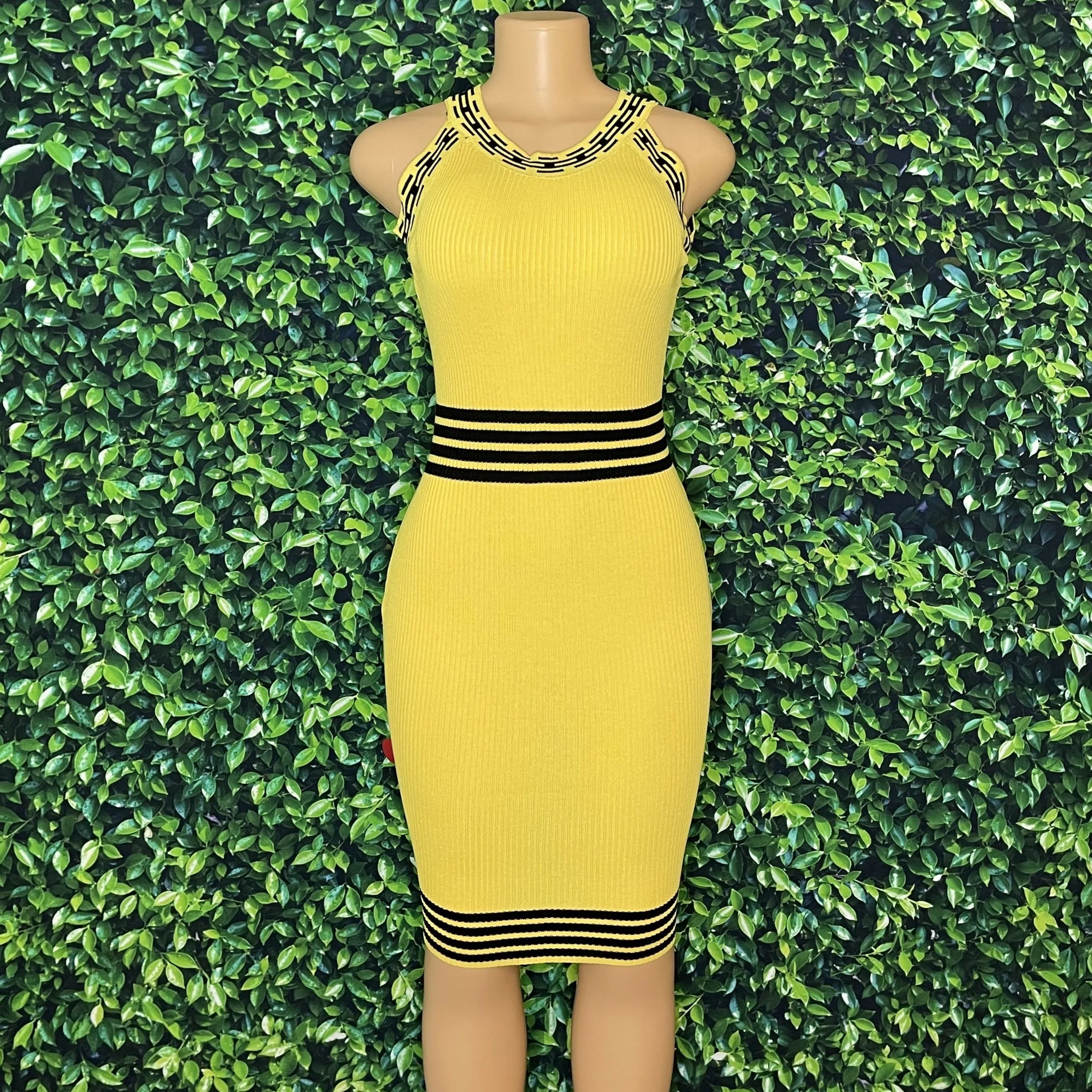 Honey Bee Bodycon Dress
