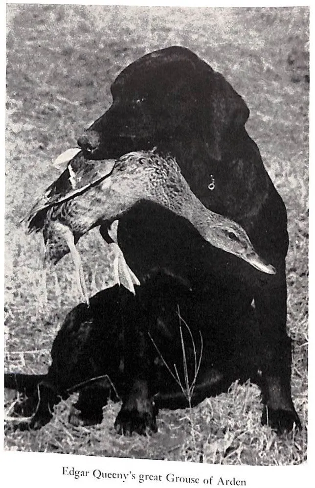 "Tattered Coat" 1939 BUCKINGHAM, Nash (SOLD)